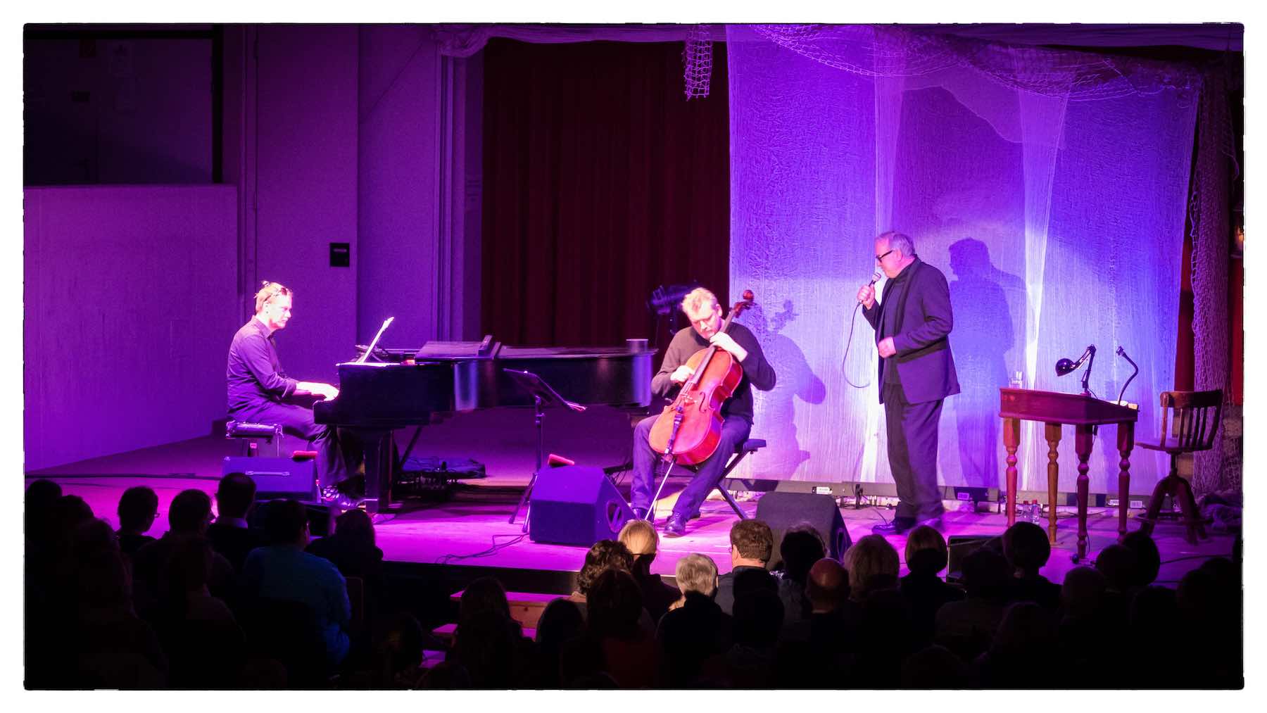 Banner - Gwildis liest 'Der Schimmelreiter' von Theodor Storm