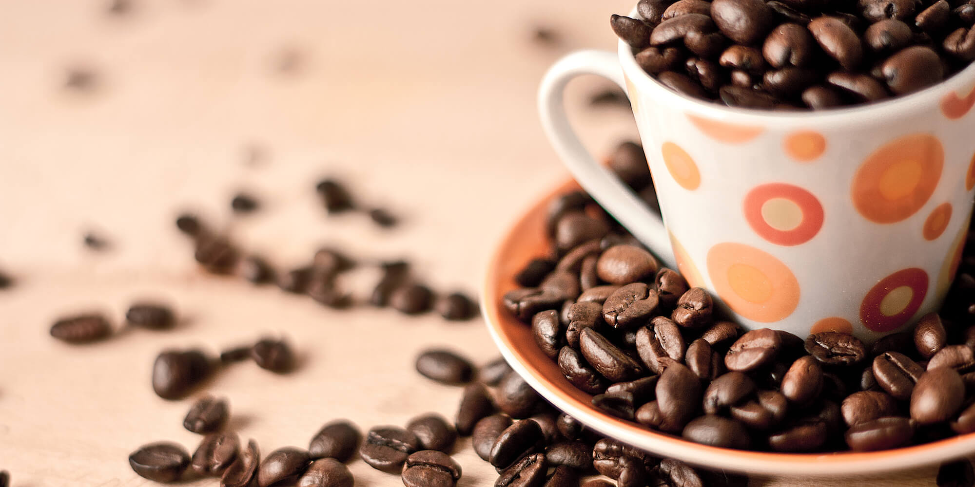 Beitragsbild - Literaturcafe