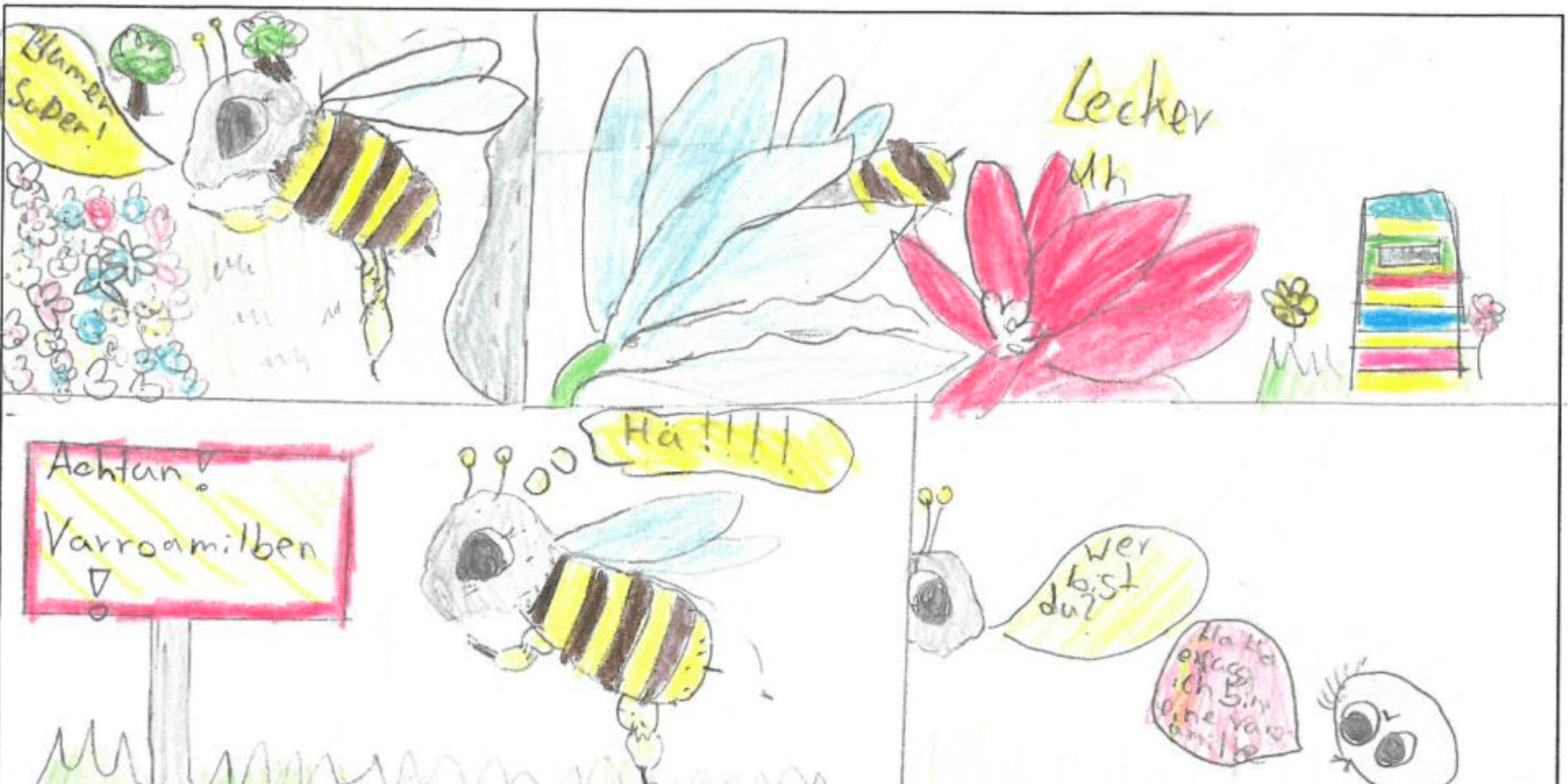 Beitragsbild - Booklet 'Bienensterben'