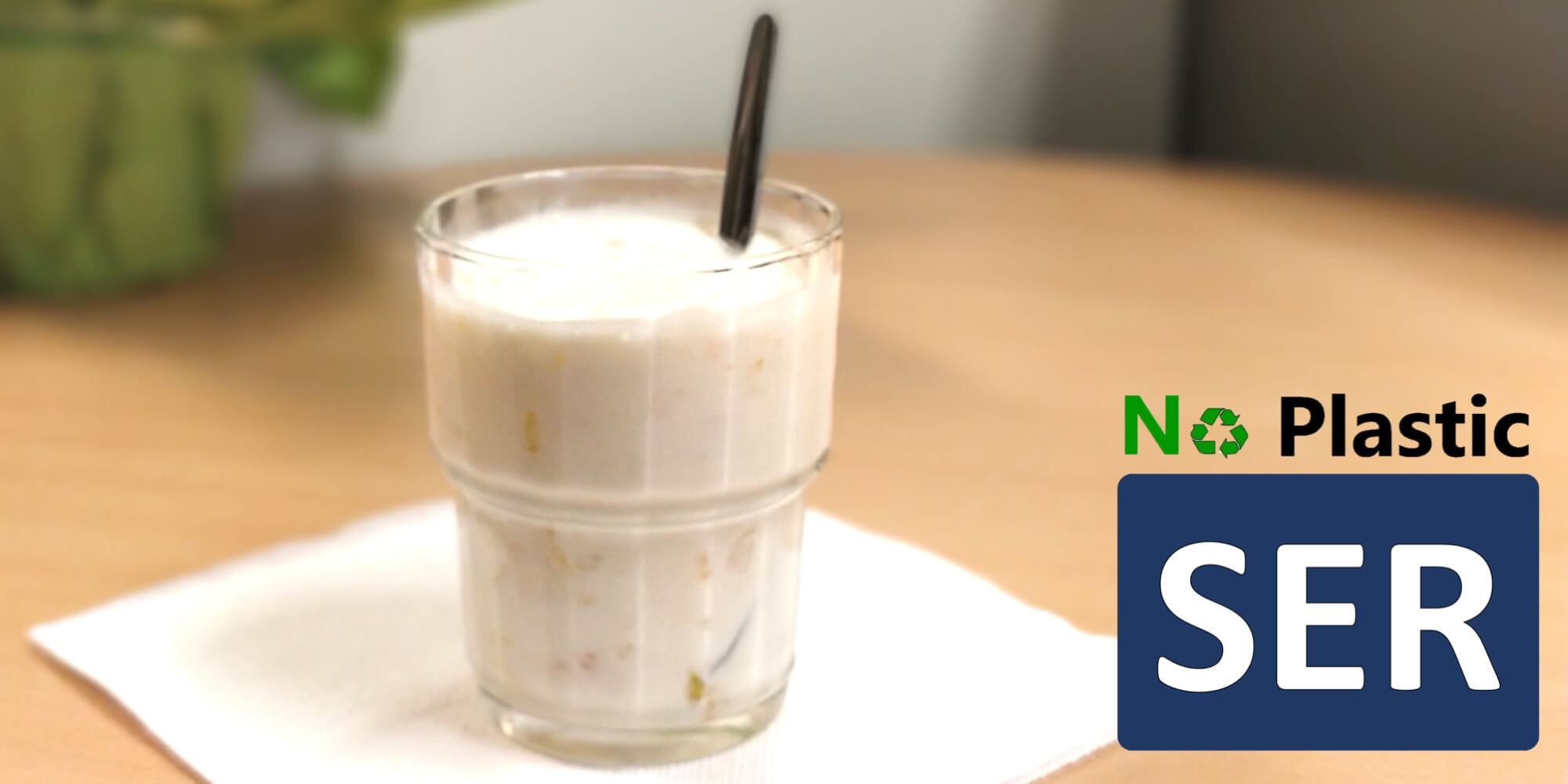 Beitragsbild - SER NoPlastic