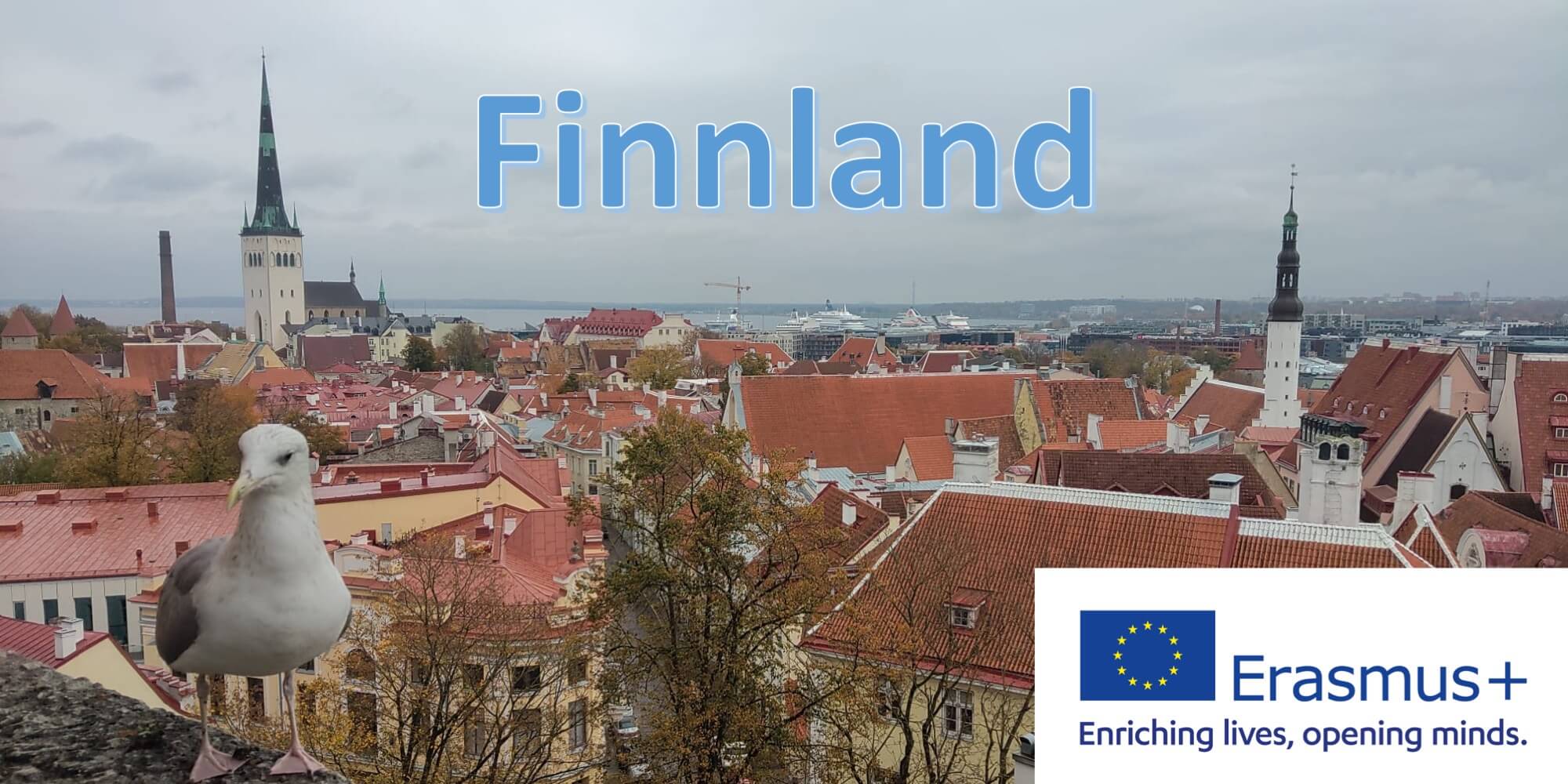 Beitragsbild - Finnland E+